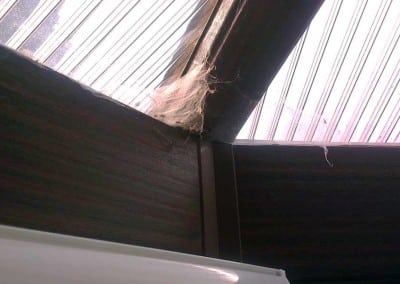 Cobwebs and dust hidden behind blinds